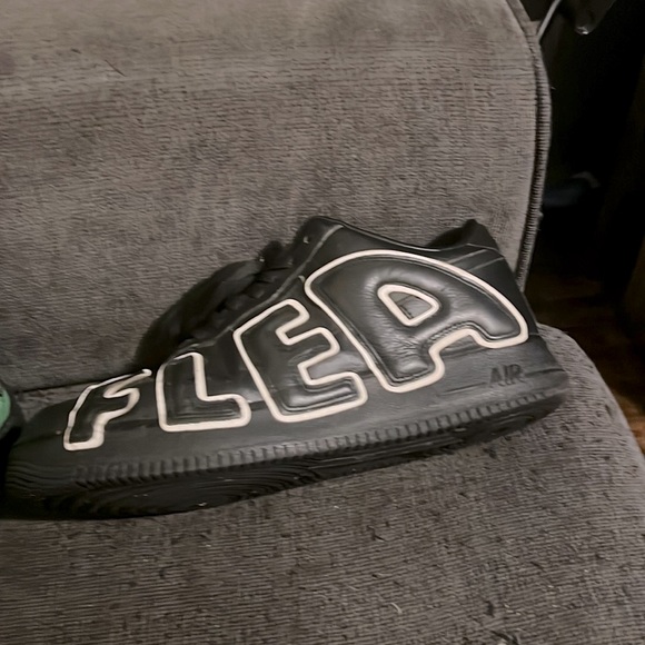 Cactus plant fleas - Picture 1 of 1